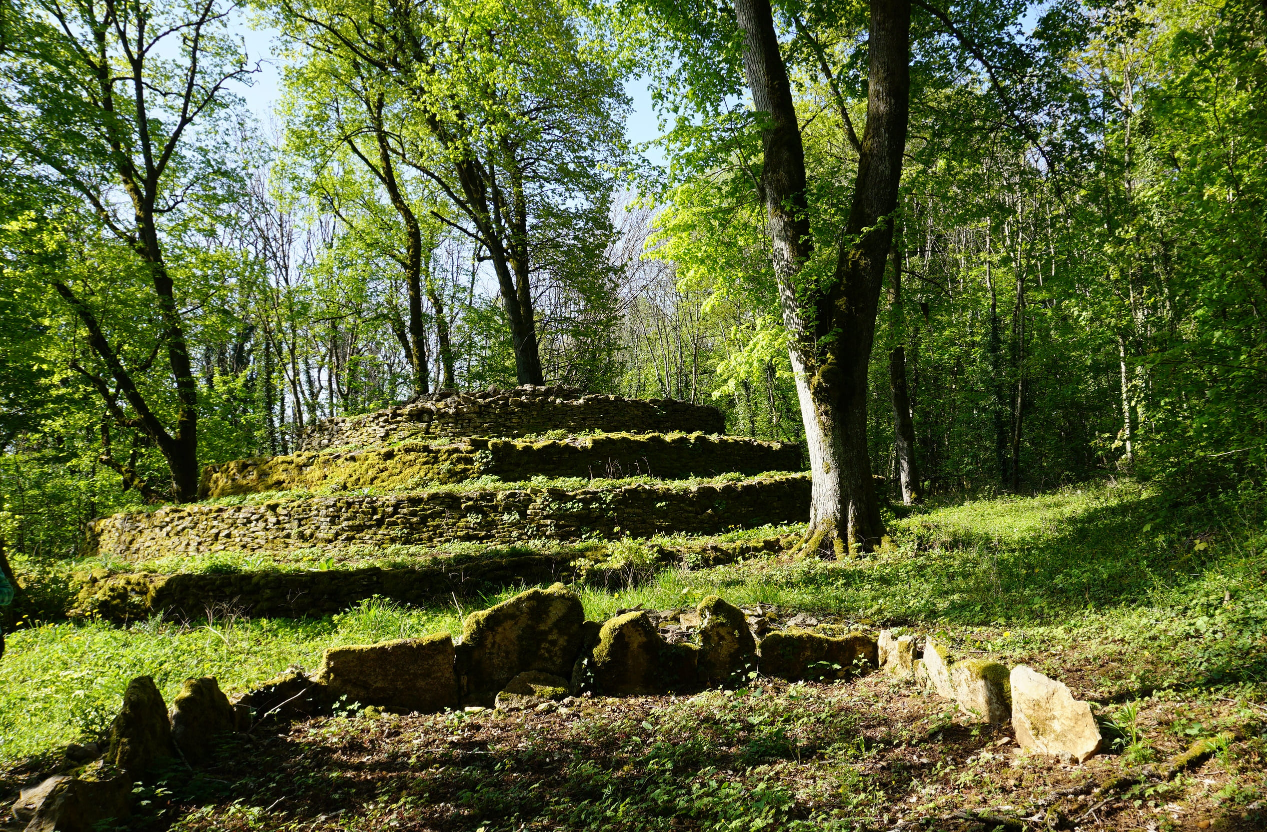 Patrimoine-en-forêt