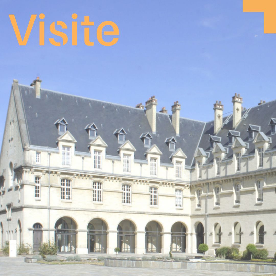 Animations_site_internet (4)