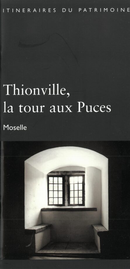 251_Thionville, la roux aux Puces
